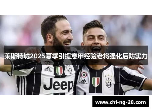 莱斯特城2025夏季引援意甲经验老将强化后防实力