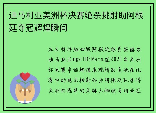 迪马利亚美洲杯决赛绝杀挑射助阿根廷夺冠辉煌瞬间