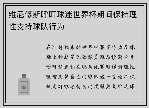 维尼修斯呼吁球迷世界杯期间保持理性支持球队行为